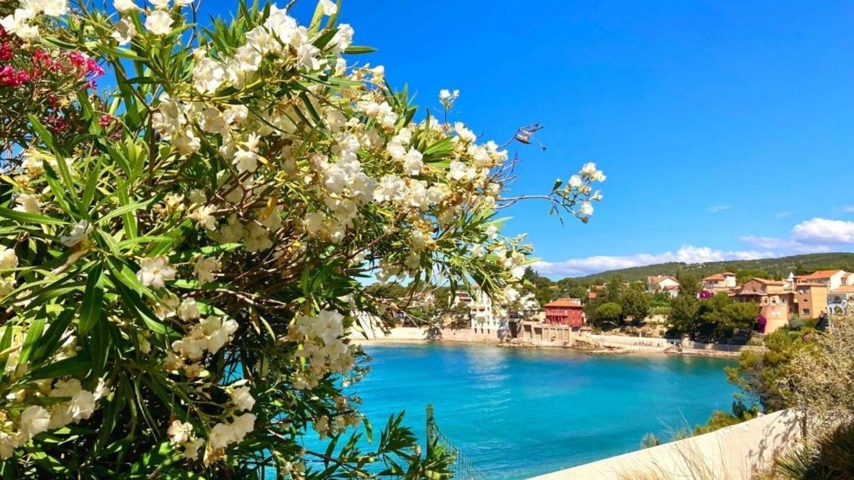 Superbe Appartement En Bord De Mer Bandol Eksteriør bilde