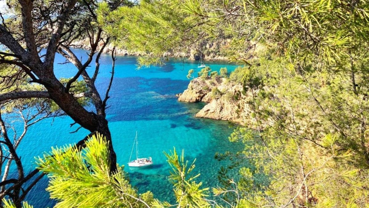 Superbe Appartement En Bord De Mer Bandol Eksteriør bilde
